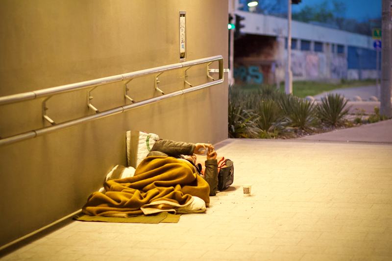 Finding from the 2014 Northlake Homeless Coalition Homeless Census